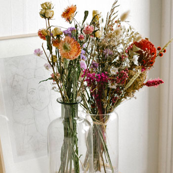 FLEURS SÉCHÉES