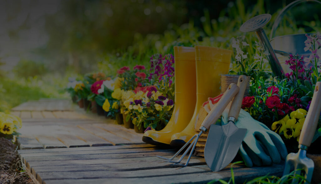 plantes et jardins